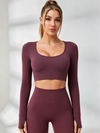 Mesh Long Sleeves