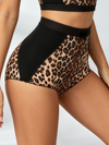 Leopard‑Print Corset Bustier & High‑Waisted Contrast‑Panel Shorts Set