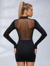Mesh Cutout Long Sleeve Bodycon Mini Dress