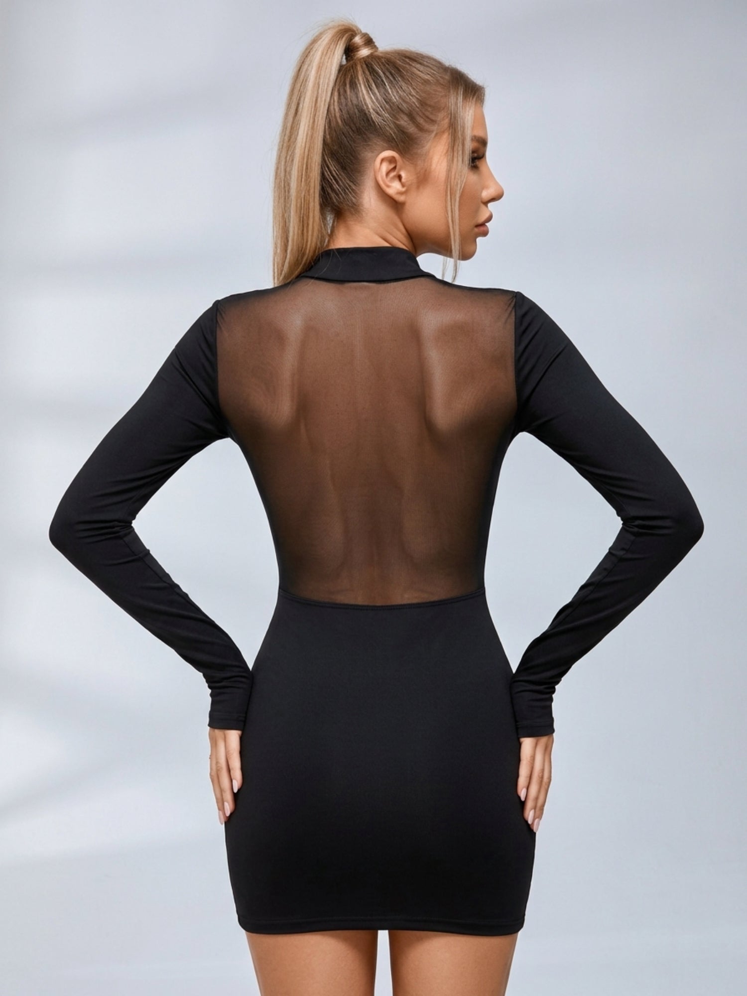 Mesh Cutout Long Sleeve Bodycon Mini Dress