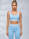 Contrast Piping Seam Workout Leggings Set