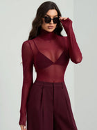 Sheer Mesh Fitted Turtleneck Top