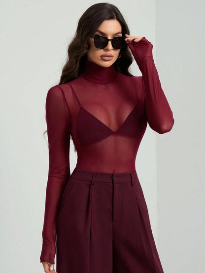Sheer Mesh Fitted Turtleneck Top