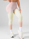 ZASUWA Female Ombre Seamless Booty Leggings