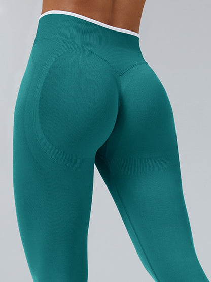 Stripes Seamless Sports Bras